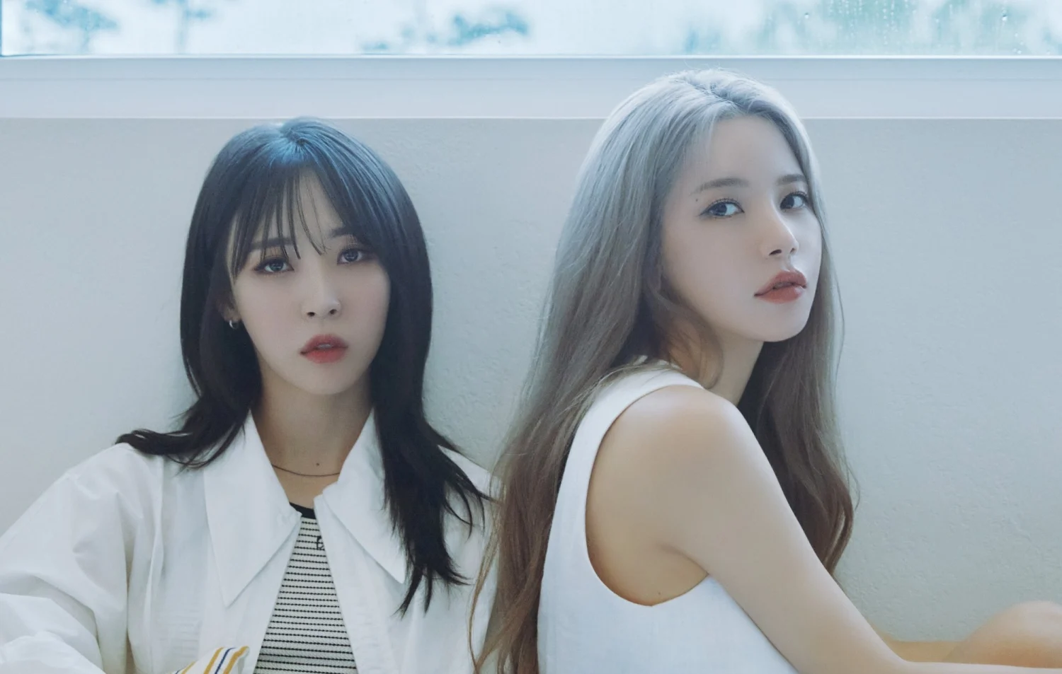 MAMAMOO+